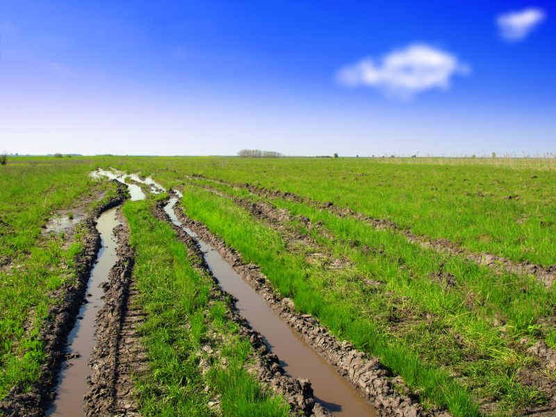 Final Grading Results